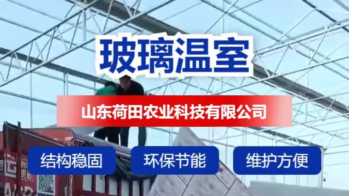威海智能温室建造,山东荷田,以专注设计建造温室大棚,推动农业
