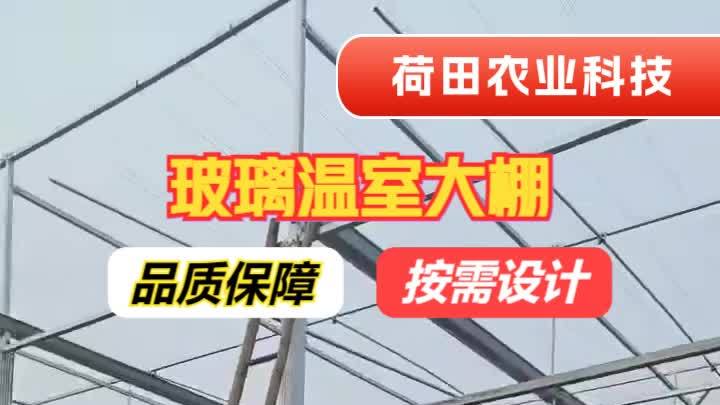 威海玻璃大棚订制,山东荷田农业,用心设计建造温室大棚,服务农