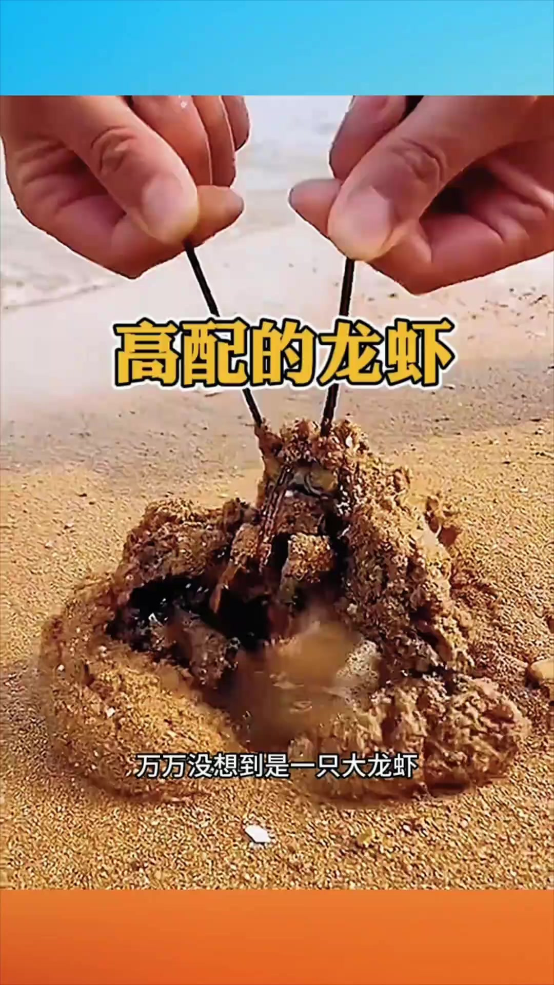 沙滩边上发现的大龙虾
