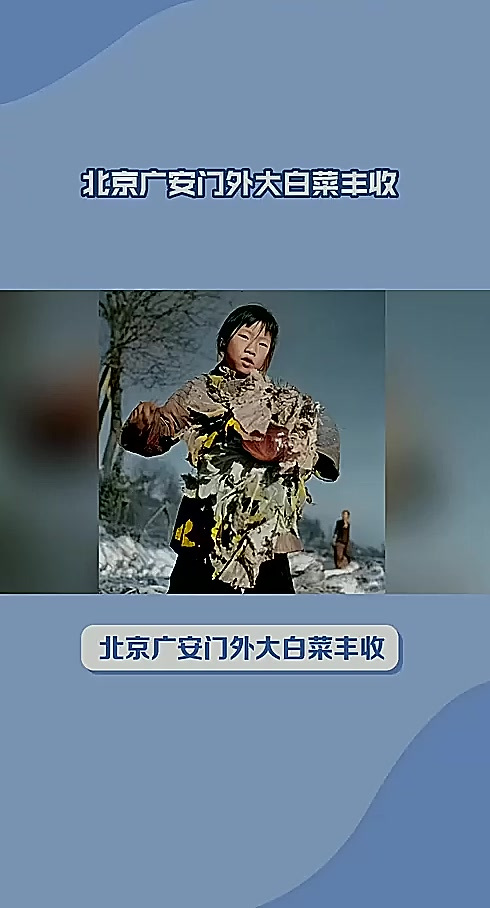 北京广安门外大白菜丰收历史人文故事解读