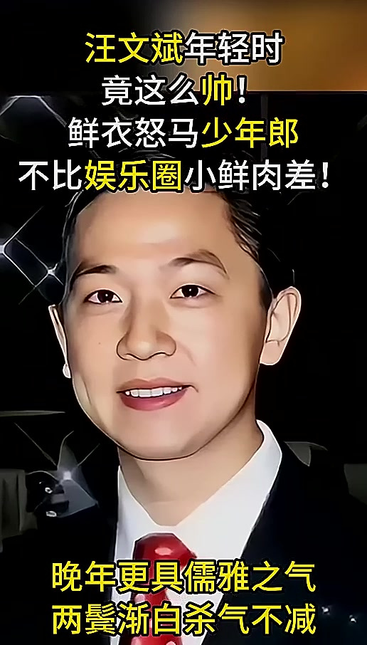 如沐春风少年志，外交王子汪文斌，年轻时照片帅气十足