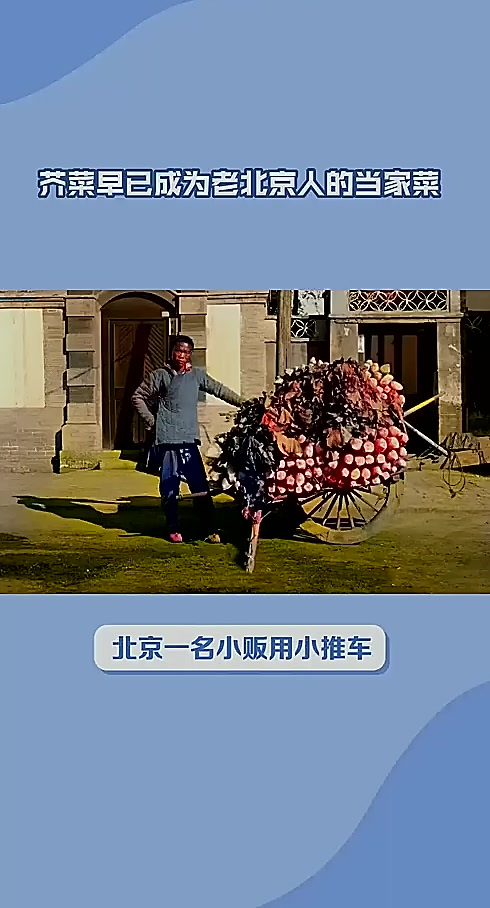 芥菜早已成为老北京人的当家菜历史人文故事解读