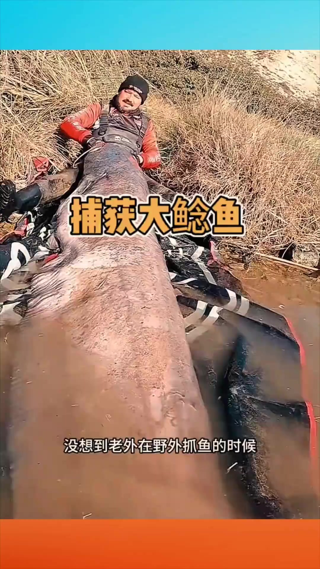 国外男子捕获的超长大鲢鱼