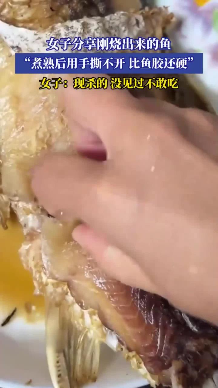 女子分享刚烧出来的鱼,“煮熟后用手撕不开,比鱼胶还硬”