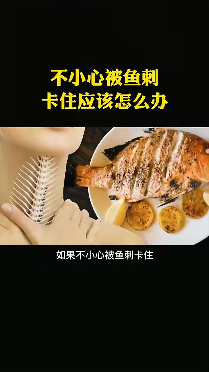 每天分享一个冷知识：不小心被鱼刺卡住应该怎么办？