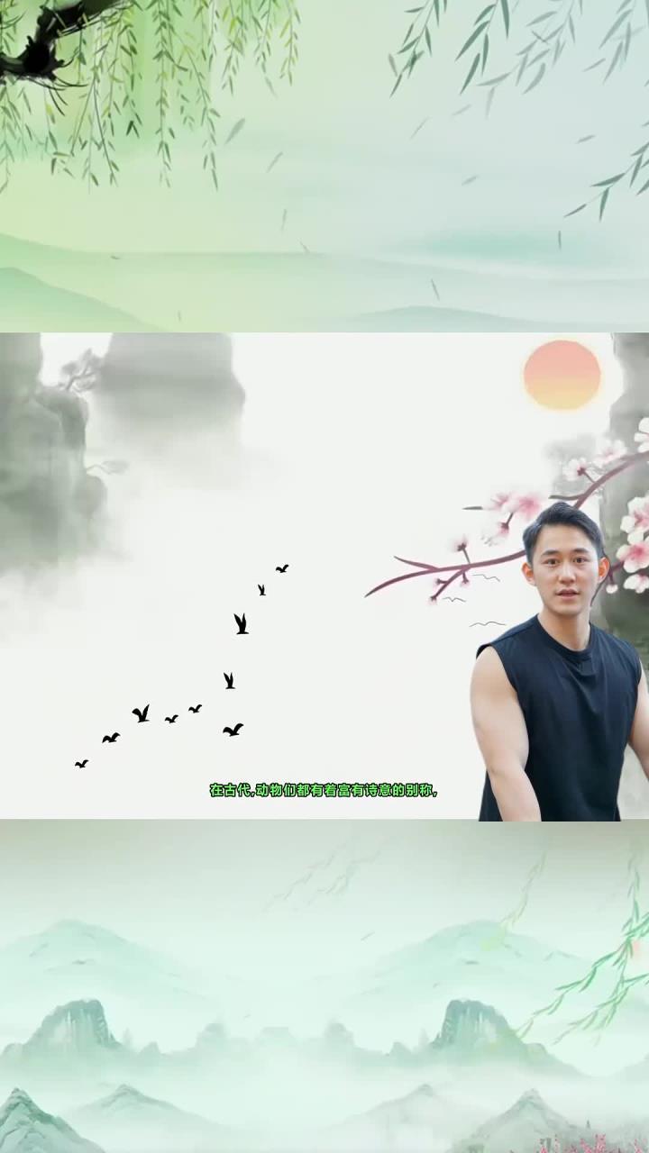 每天分享一个冷知识:富有诗意的动物别称