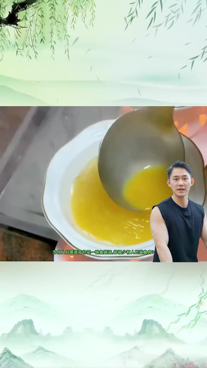 为何人们愿意高价买一碗鱼翅汤,却极少有人吃鲨鱼肉?