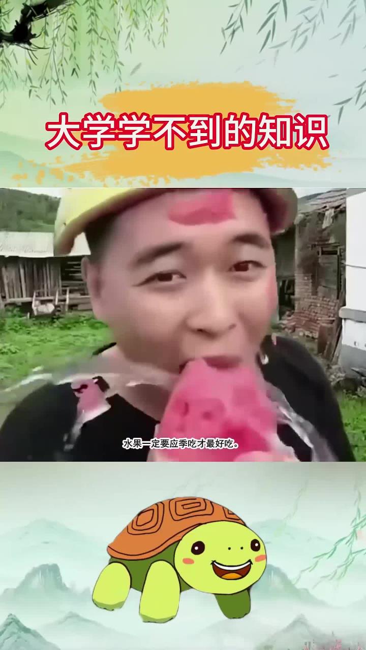 水果自然成熟的时间段才是一年里最好吃的时候