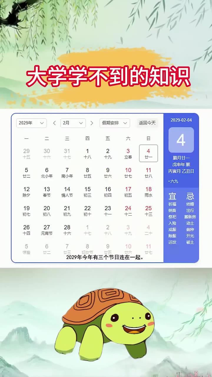 开始期待2029年鸡年了,不敢想象鸡年春节会是什么样的