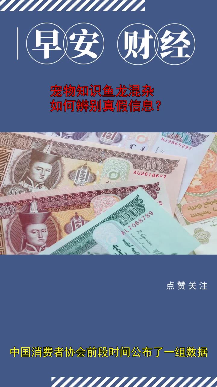 宠物知识鱼龙混杂,如何辨别真假信息?