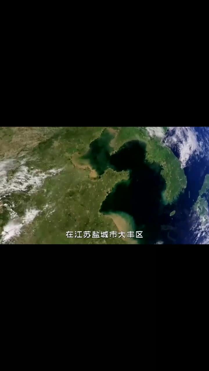 揭秘神奇动物四不像的奥秘.mp4