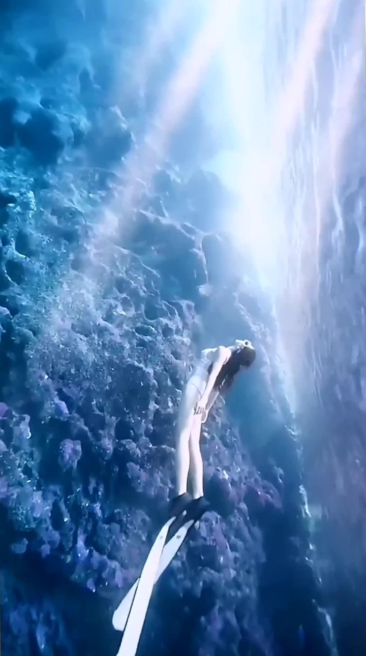 海底世界色彩斑斓,绚丽珊瑚是海洋鱼群的乐园