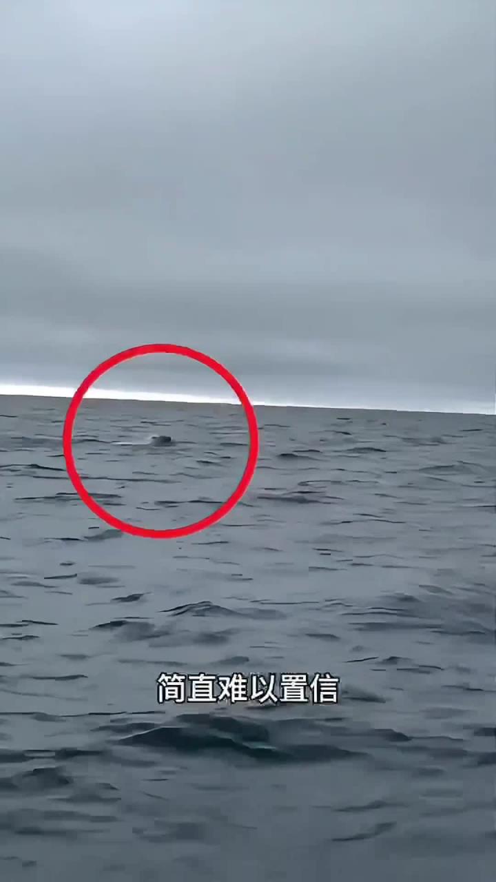渔民出海捕鱼,意外发现神秘物品引发惊奇