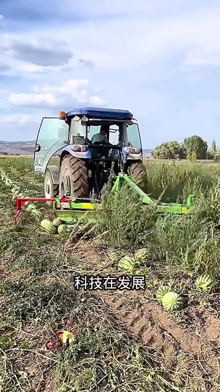 西瓜机械采摘:科技创新带来的挑战与机遇
