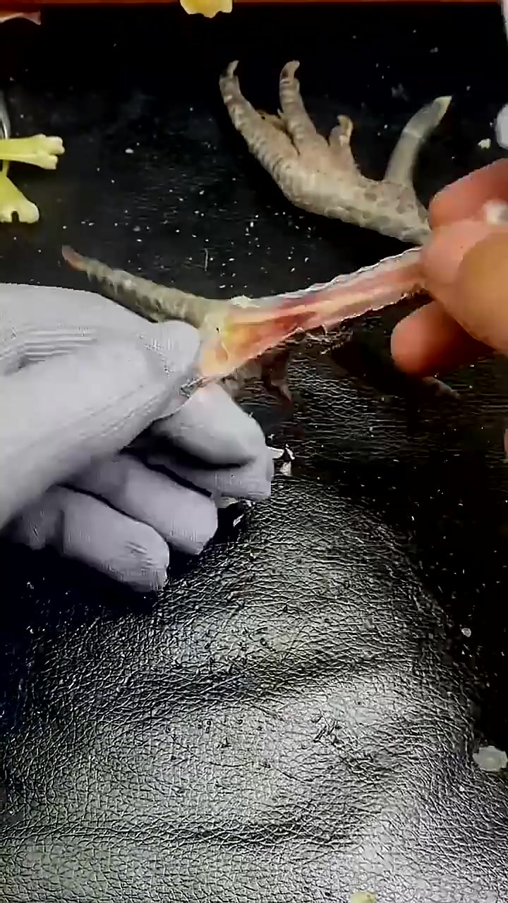 把鸡爪子做成手把件,你学废了吗?