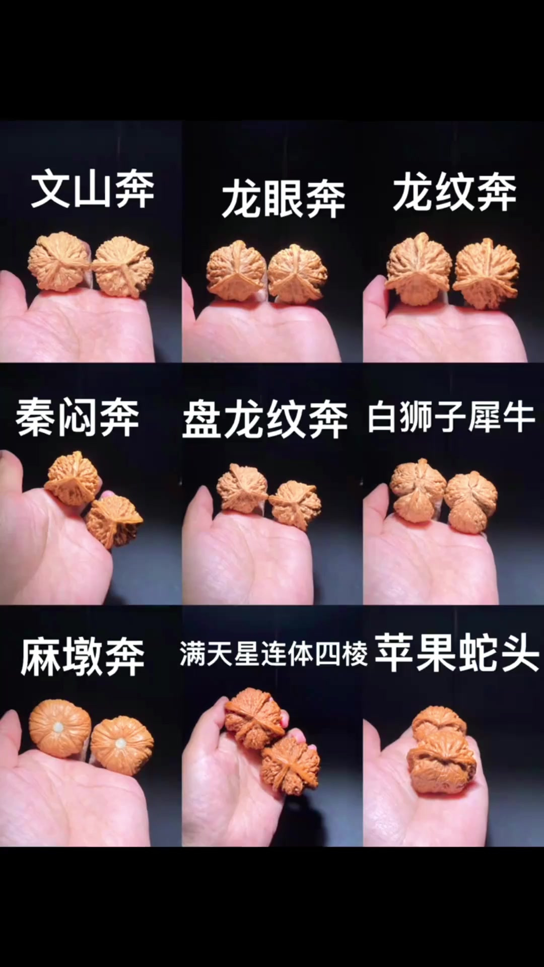 三棱异形大全 图片上的手里拿的都有