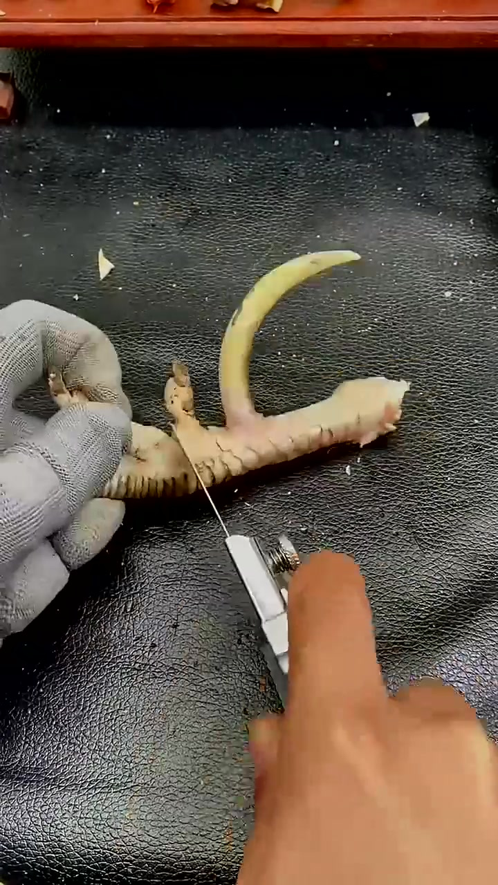 鸡爪子摇身一变,成了大美丽