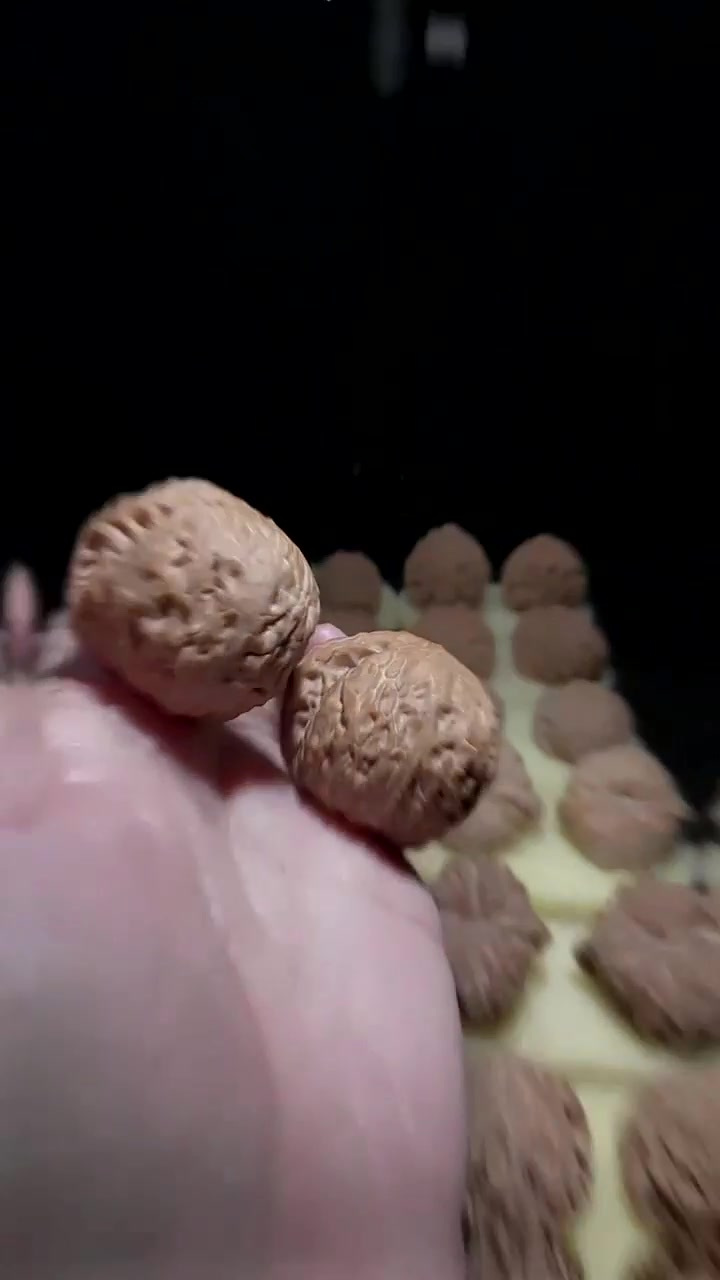 狮子头大全 你们还知道哪些?