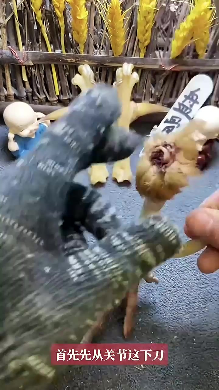 文玩鸡爪骨.鸡爪骨简单扒皮教程来了,想了解的点个赞
