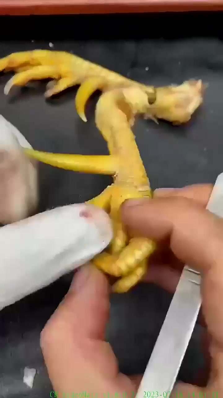 文玩鸡蹬子.漂亮吗?