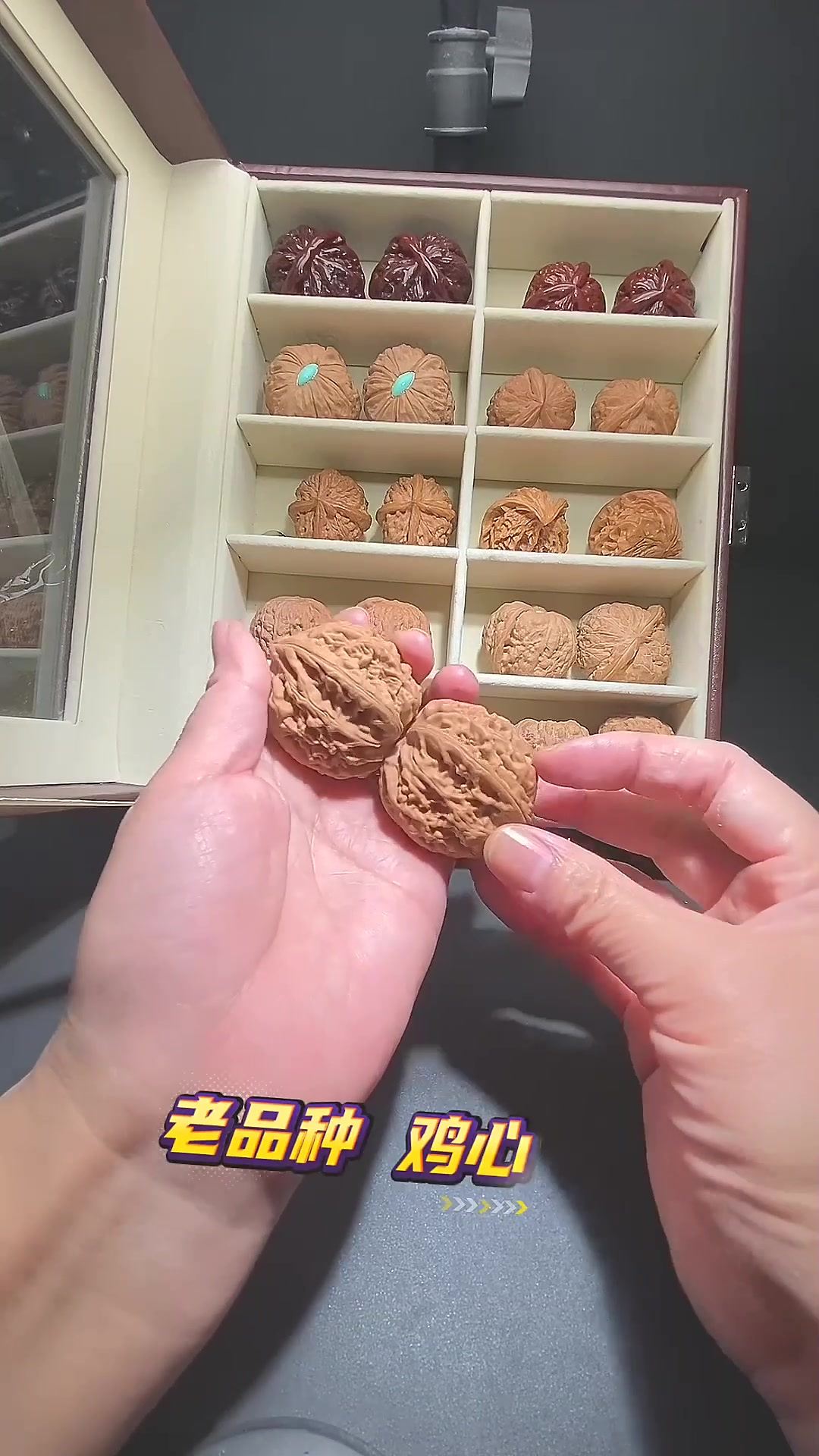 看看你们的都有哪些?