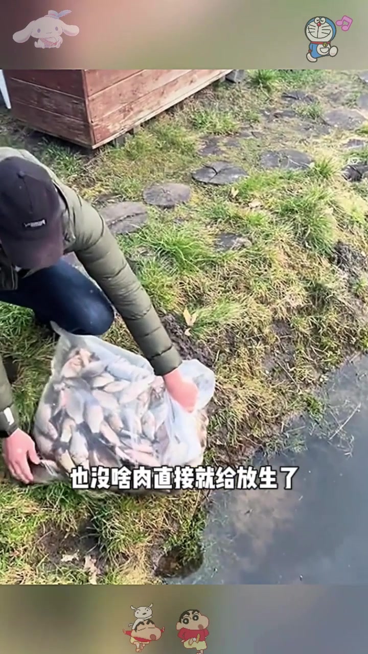  放生鲫鱼,太浪费了