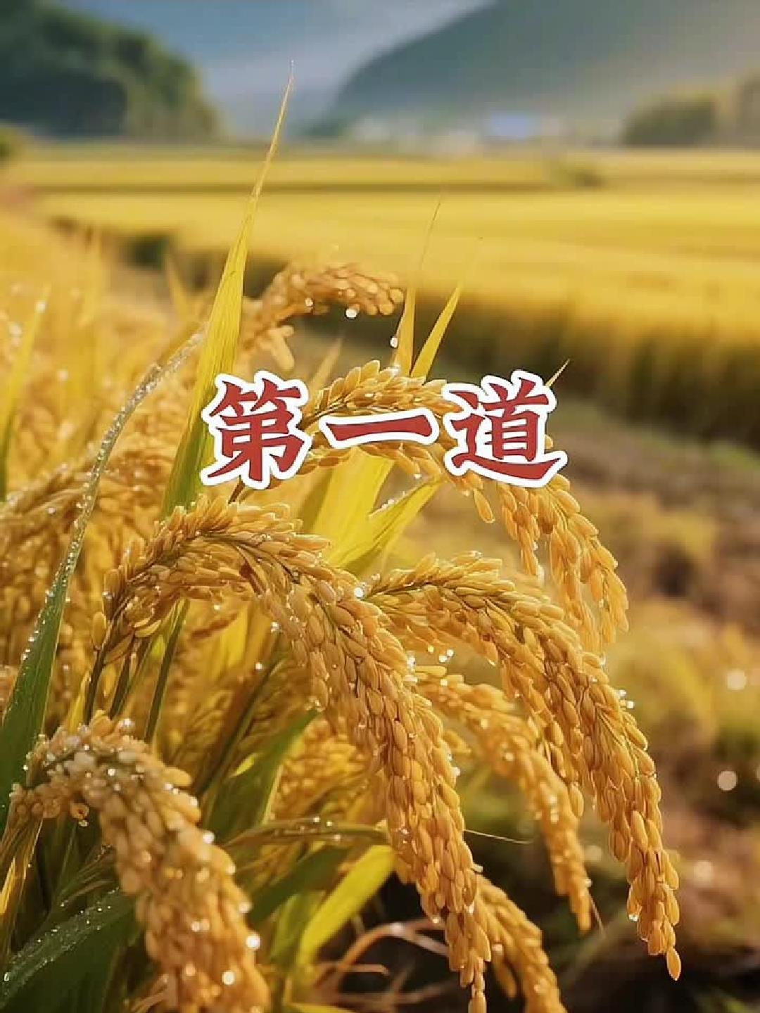 《养生必喝十款汤，最后一款是汤中极品！》