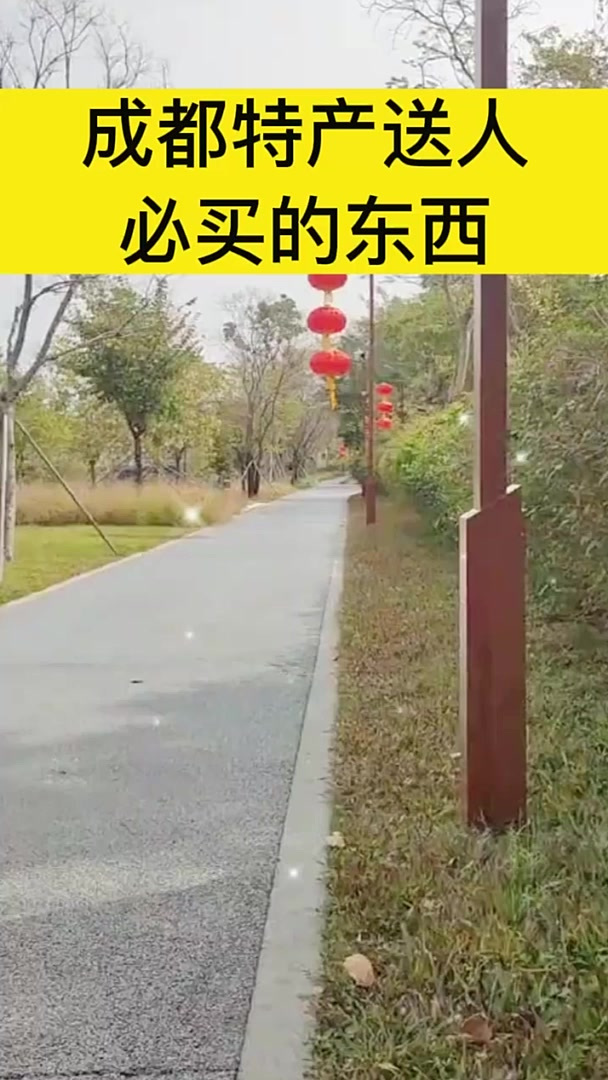 成都特产送人必买的东西