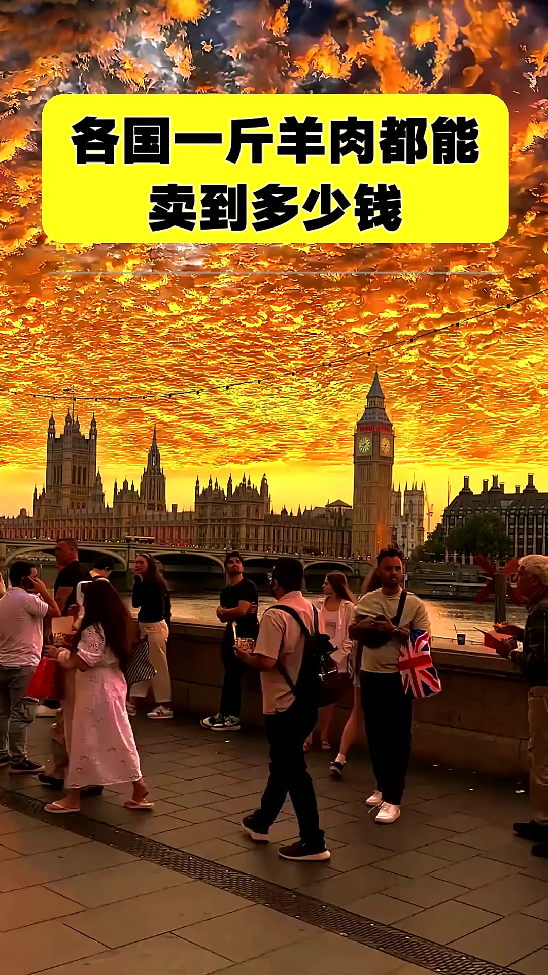 各国一斤羊肉都能卖到多少钱
