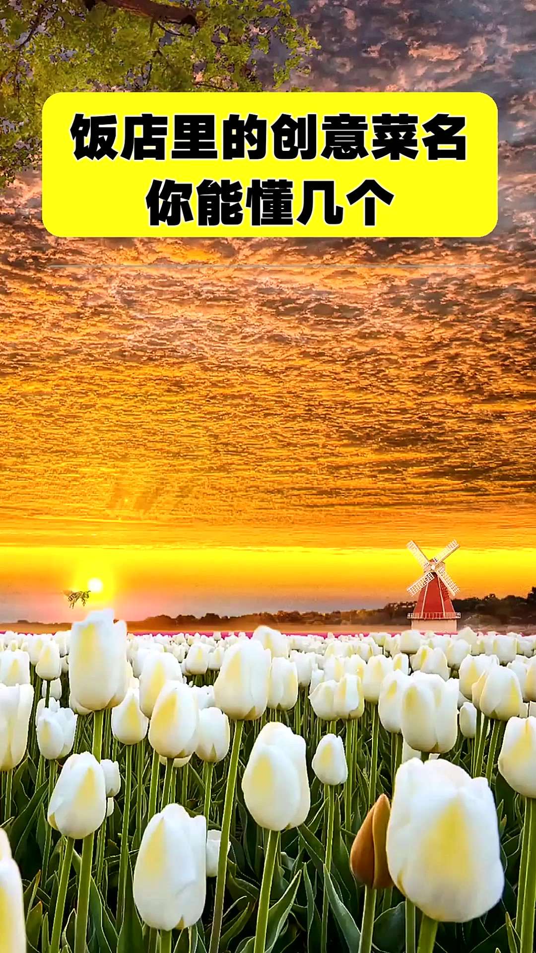 饭店里的创意菜名你能懂几个