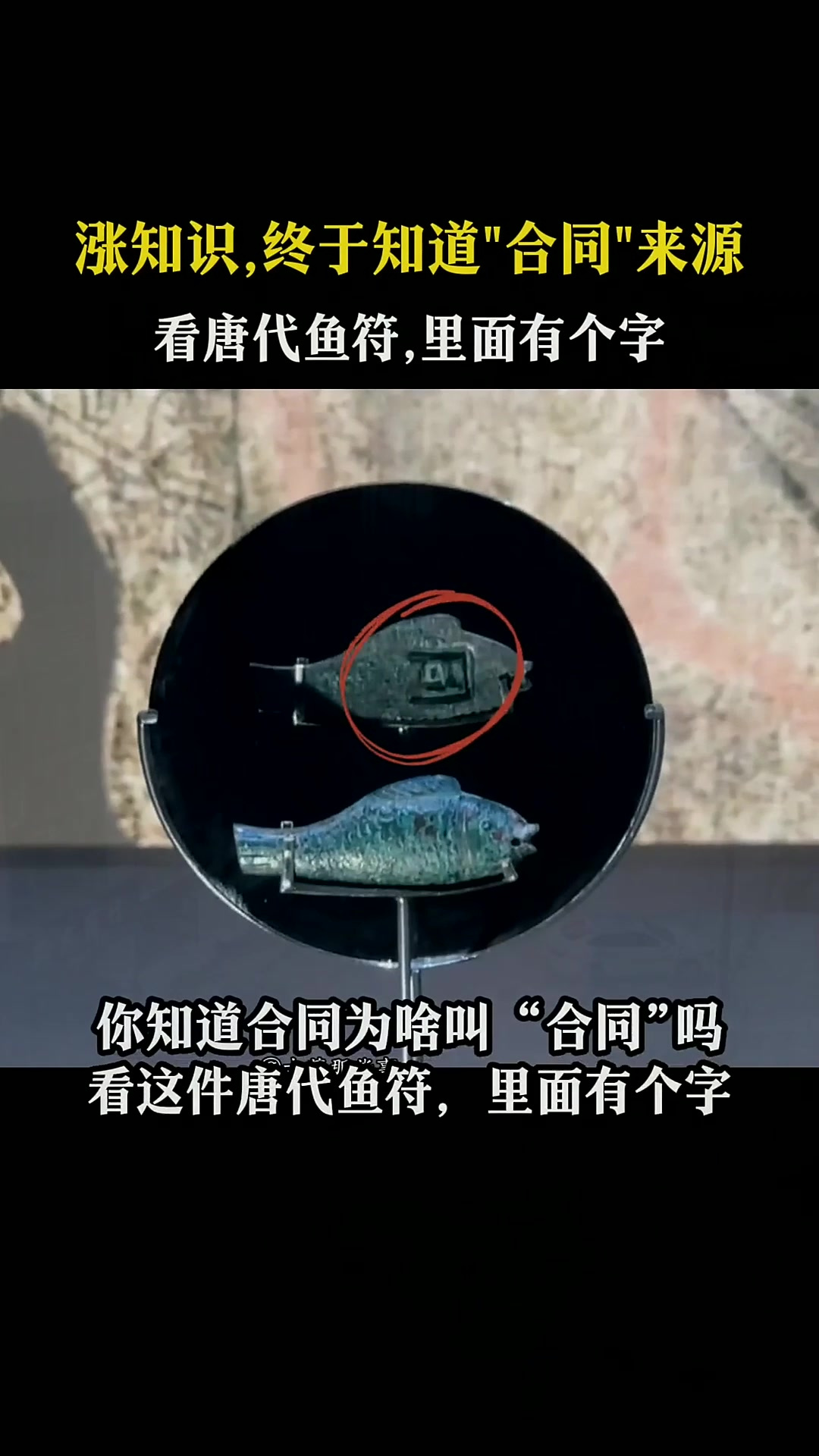 涨知识！终于知道“合同”来源了。看唐代鱼符，里面有个字！