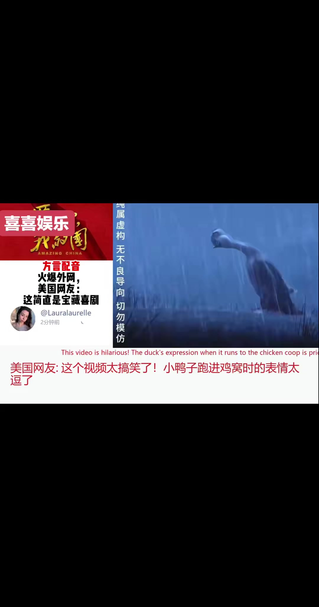 雨中鸭子的搞笑表情,美国网友都笑翻了! 这视频太逗了!