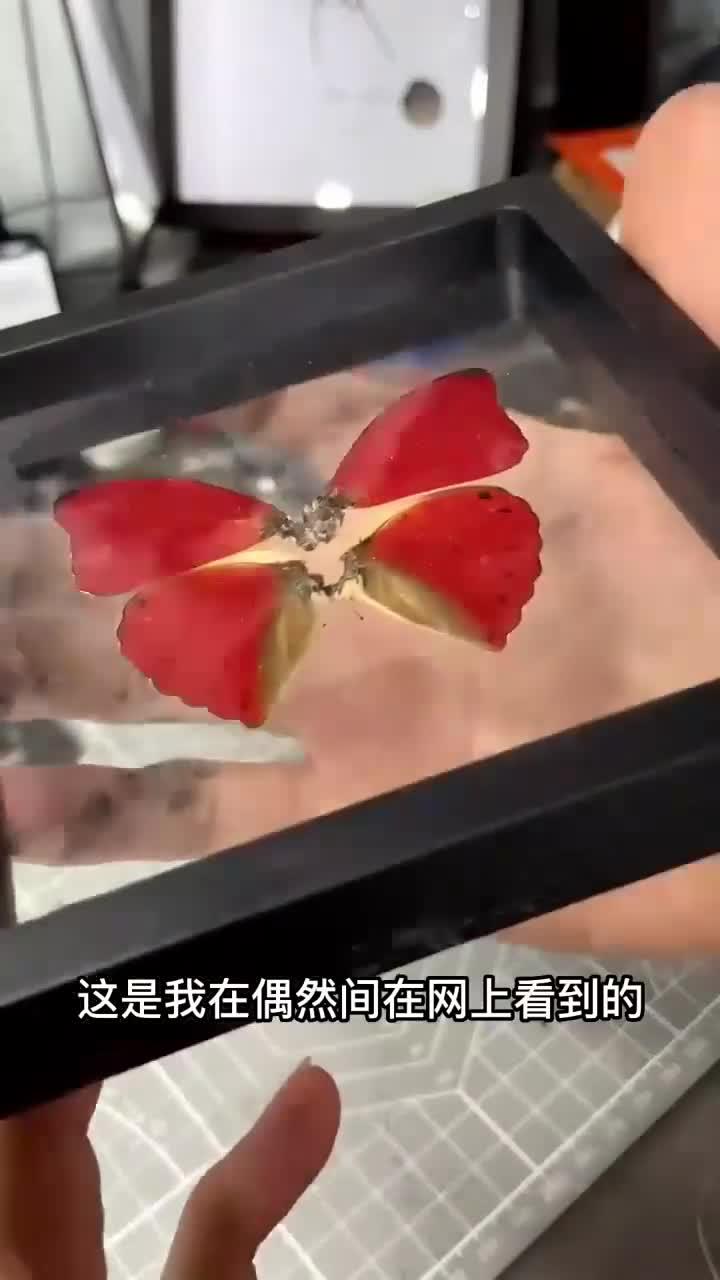 即使只剩下一对翅膀我也能让他复活!机械蝴蝶创意手工蒸气朋克