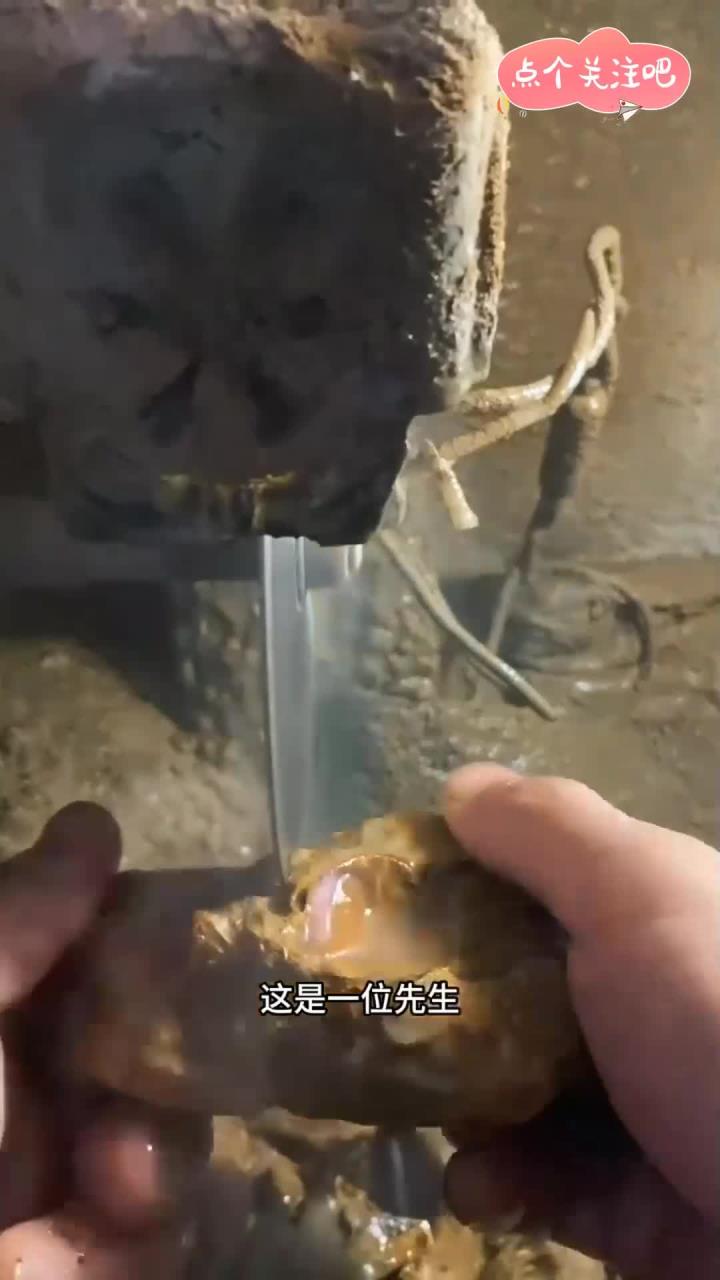 来看我的手作:金鸡报喜1