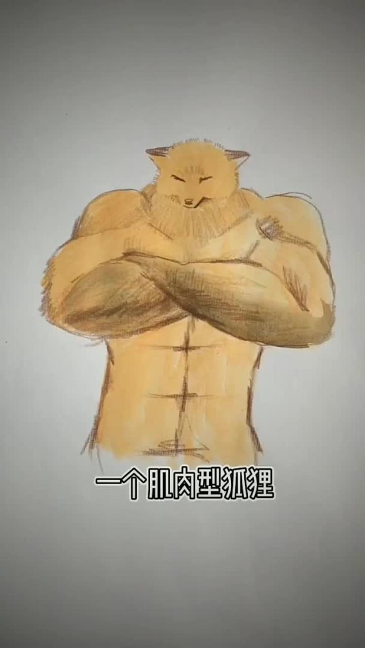 给爸爸改画的第六天,改有腹肌的狐狸
