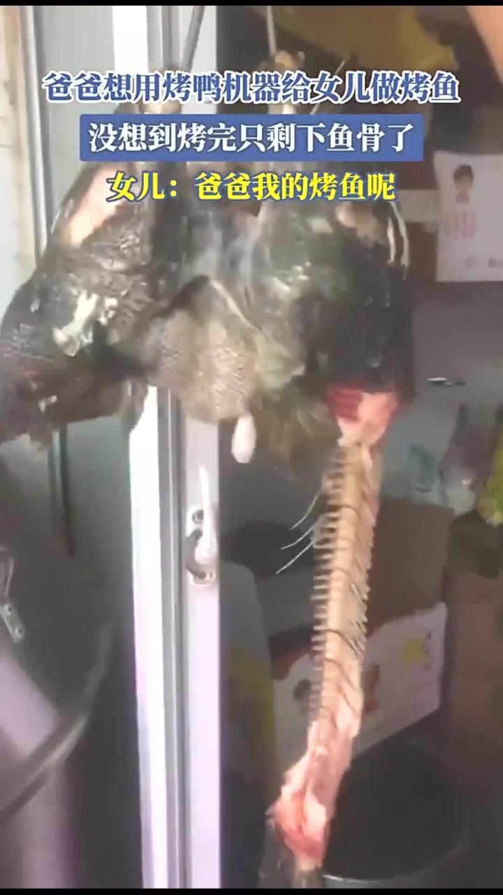 爸爸想用烤鸭机器给女儿做烤鱼,没想到烤完只剩下鱼骨了,女儿:爸爸我的烤鱼呢