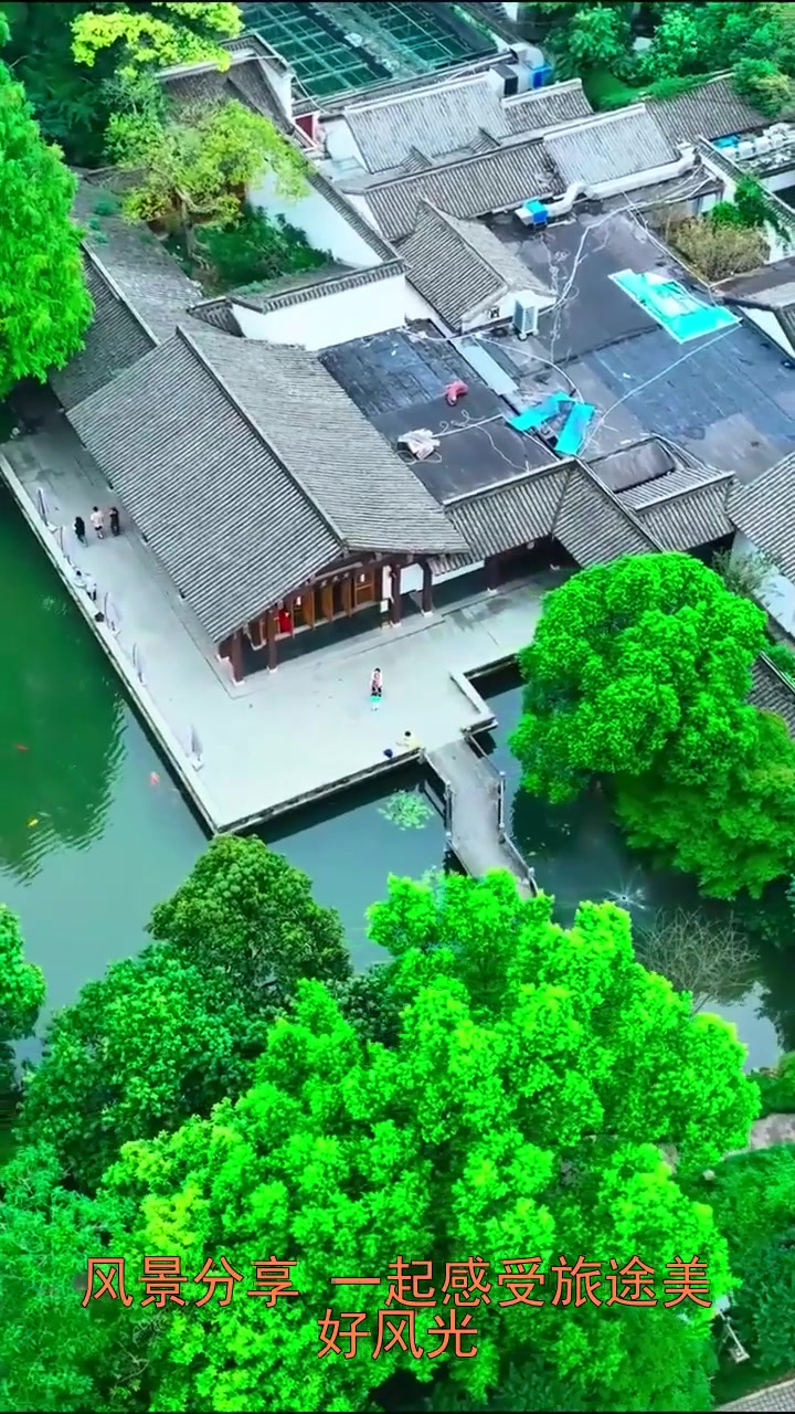 旅行推荐,“玉泉鱼跃”西湖十景之一,与花港观鱼并列,只是这里