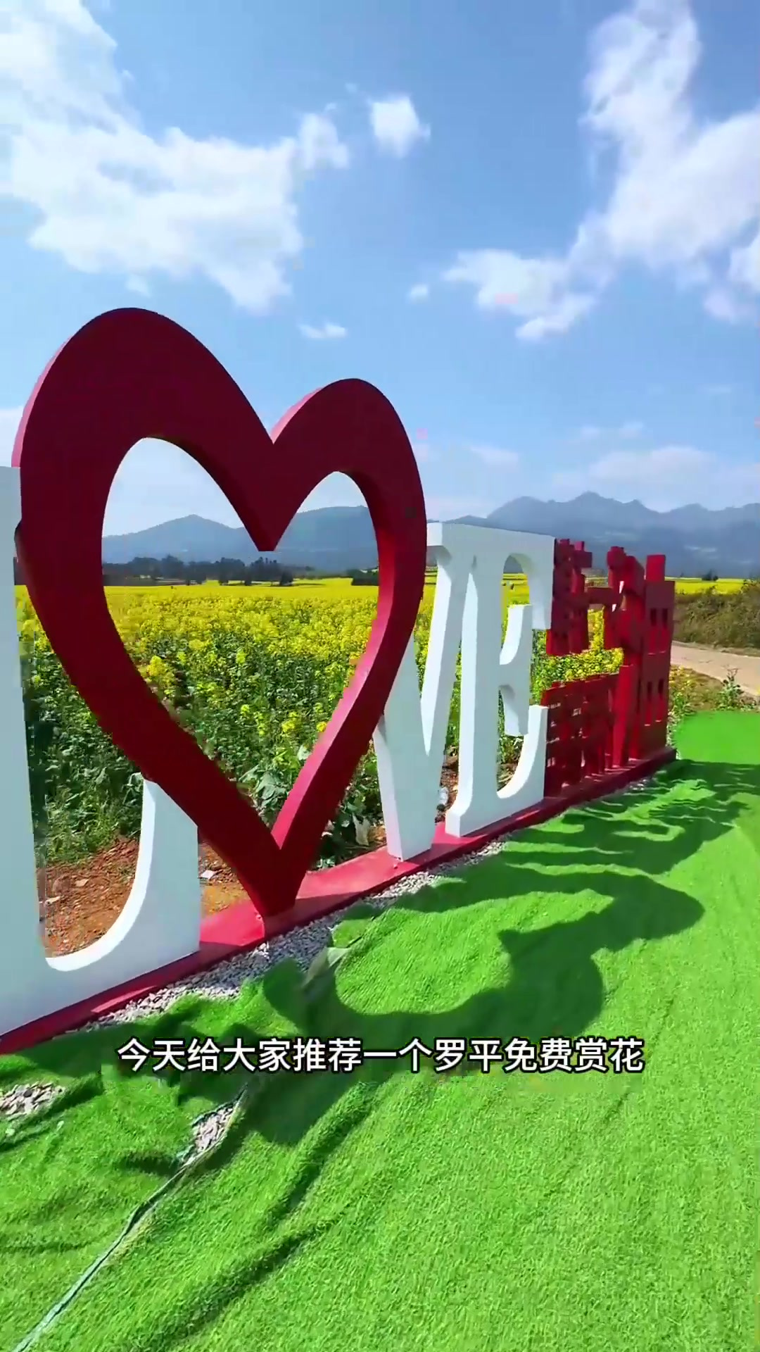 秋季旅游，罗平油菜花迎来了盛花期，给大家推荐一个赏花拍照很美