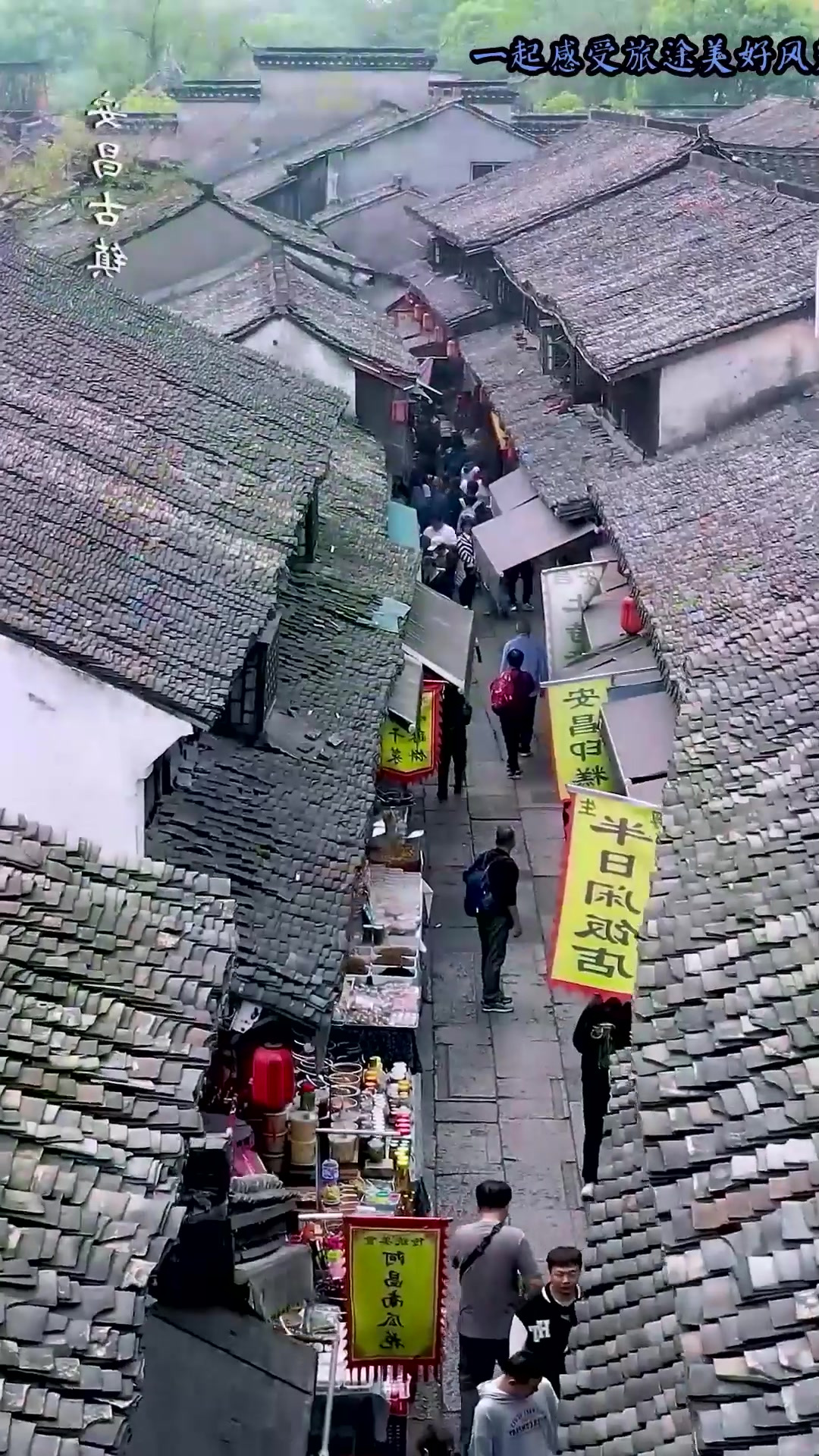 早秋旅行,总要去趟绍兴吧,到安昌古镇坐坐乌篷船,尝尝腊肠酱鸭