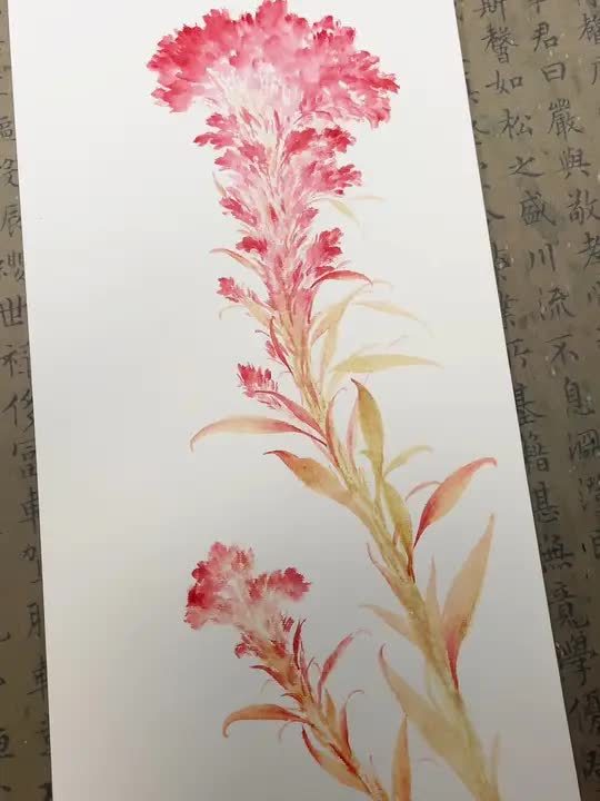 天官赐福-鸡冠花 国画 新中式 天官赐福 鸡冠花