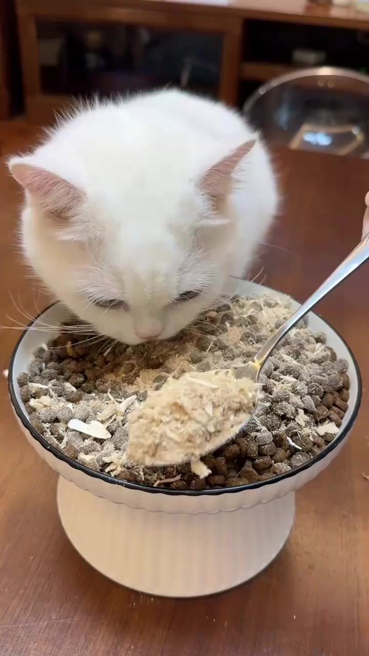 清火鸭肉松好美味呀～每天干巴猫粮都吃腻了