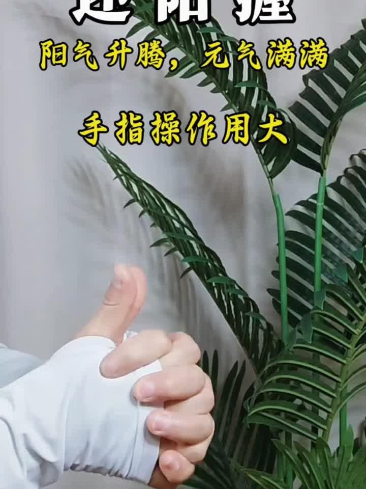 咸橄榄排骨汤，一锅暖胃又养生的美味！