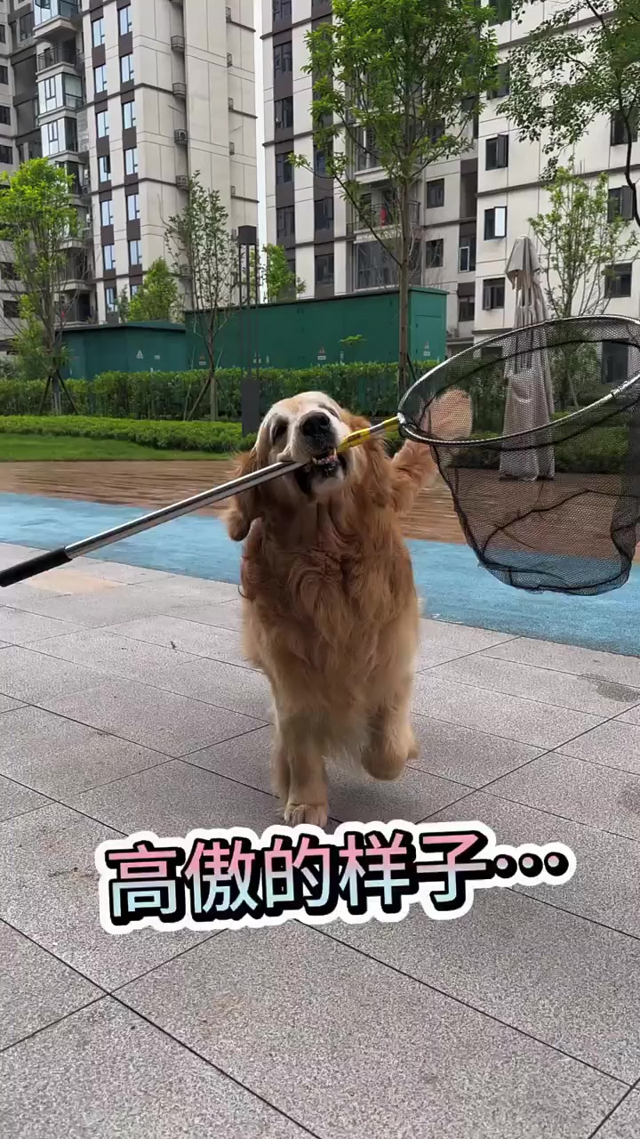狗子这是刚捞鱼回来啊!
