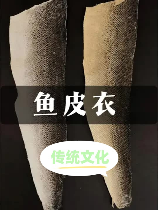 鱼皮不仅能吃,还能用来做衣服?纪录片 赫哲族 鱼皮衣
