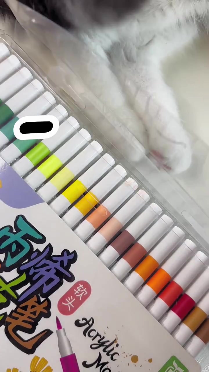 喜欢在吃饭的时候来点电子榨菜的不止我一个吧