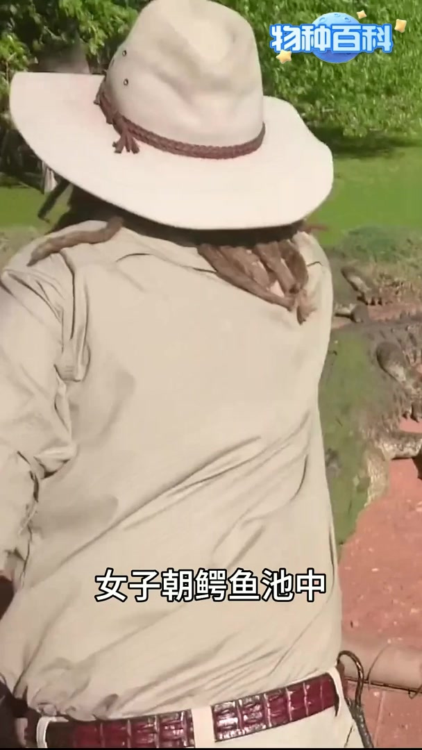 鳄鱼手断了还会长出来吗？