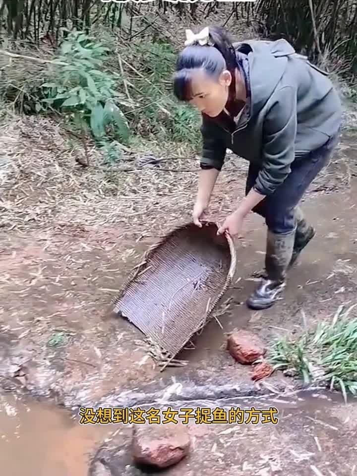 簸箕捞鱼,轻轻松松