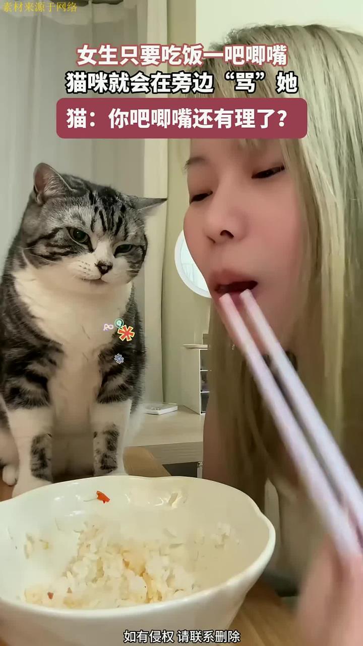 女生只要吃饭,一吧唧嘴,猫咪就会在旁边“骂”她