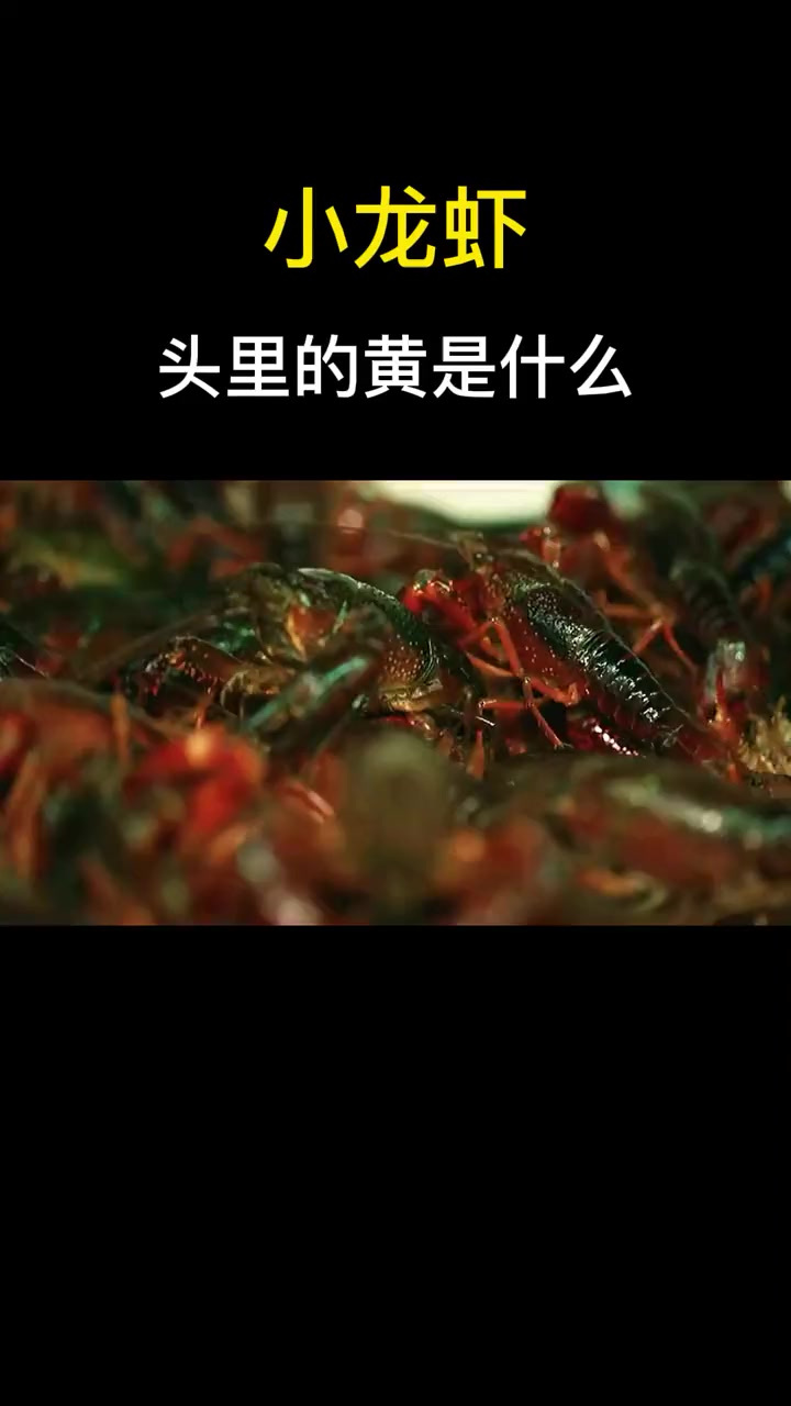 小龙虾头上的黄是肝胰脏,那你知道小龙虾要怎么吃才健康,那小龙