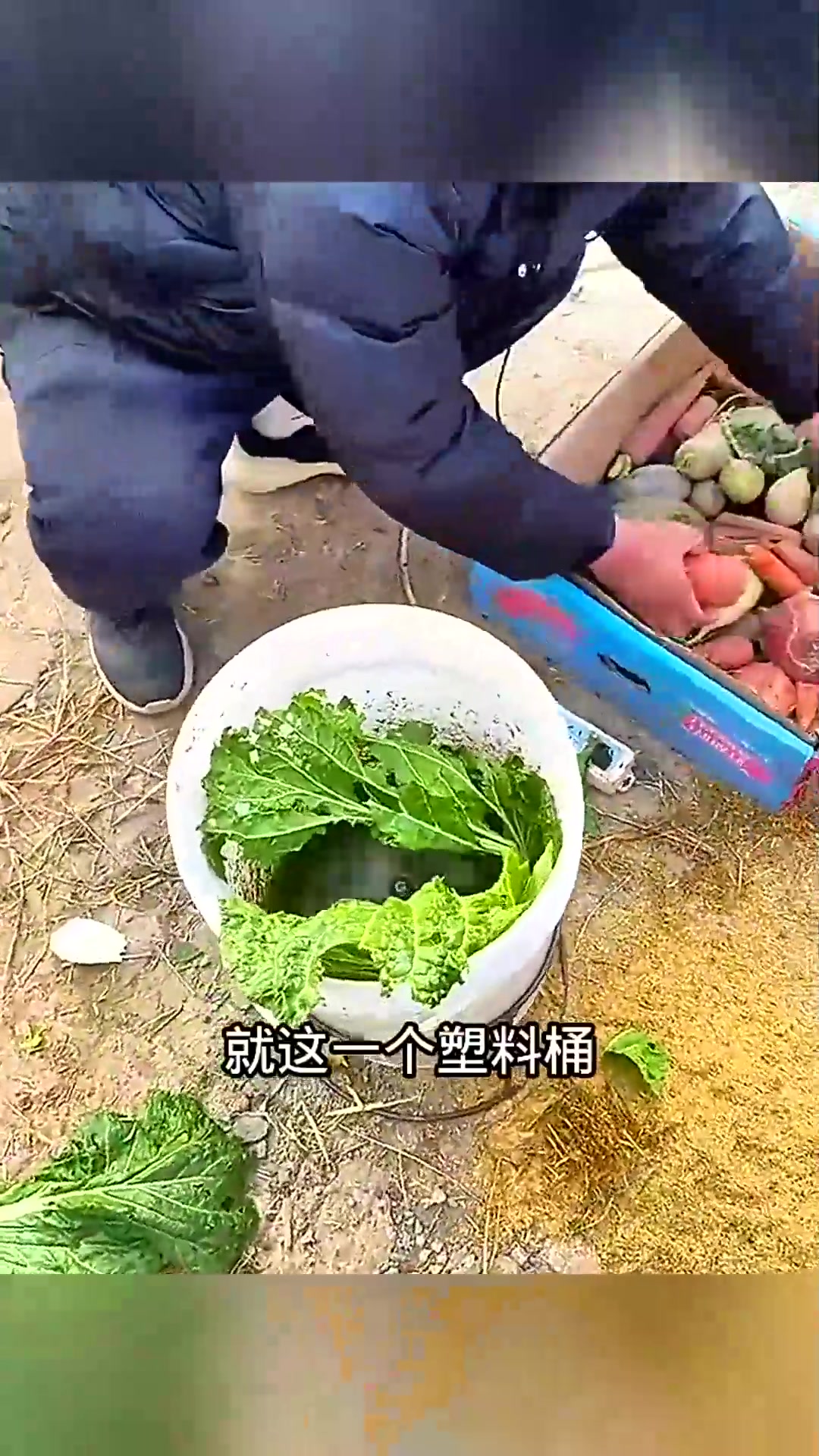 自制蔬菜粉碎机，把我惊呆了！